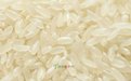 奇香飘米业 打造榆树大米之典范